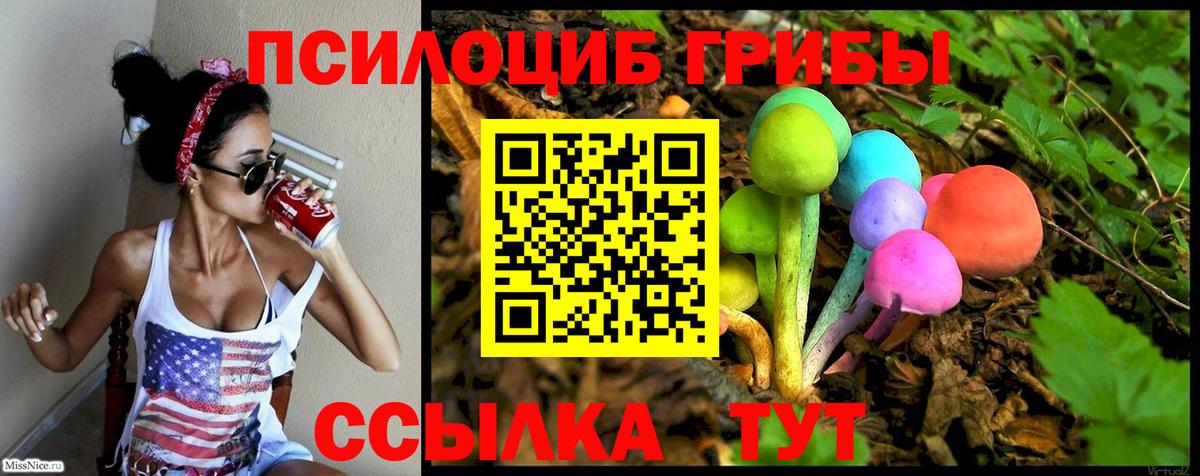 Псилоцибиновые грибы мухоморы Корсаков